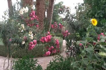 هتل Ksar Assalassil