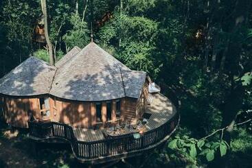 هتل Wildhive Callow Hall