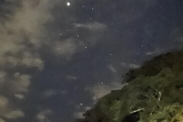 Tamaru