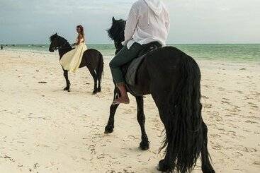 هتل The Nest Boutique Resort