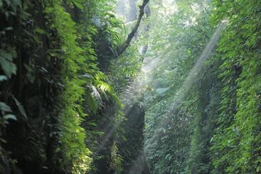 هتل Pramana Giri Kusuma