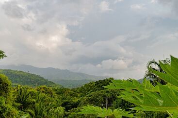 پانسیون Cabaña Mirador Del Bosque Tayrona