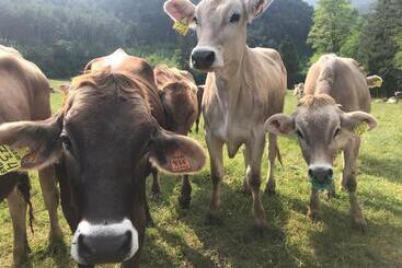 هتل Dimora Natura Riserva Naturale Valle Di Bondo