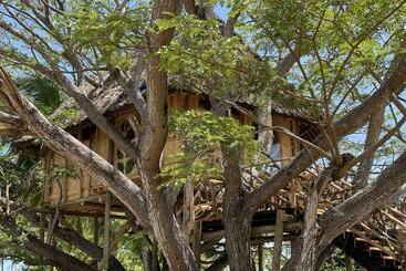 استراحتگاه Antonio Beach Tree House Hotel & Spa