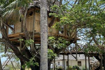 استراحتگاه Antonio Beach Tree House Hotel & Spa