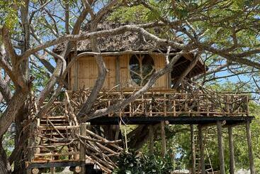 استراحتگاه Antonio Beach Tree House Hotel & Spa