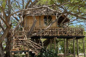 استراحتگاه Antonio Beach Tree House Hotel & Spa