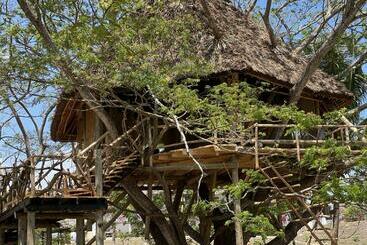 استراحتگاه Antonio Beach Tree House Hotel & Spa