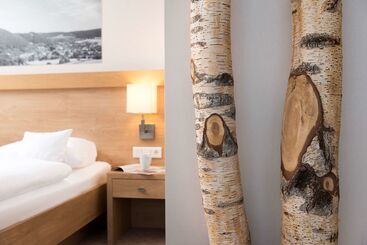 Best Western Plus Hotel Willingen