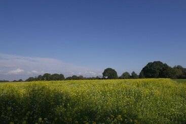 هتل Landgasthof Blume