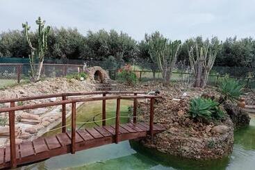 تختخواب و صبحانه Villa Michelangelo
