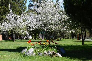 Cabanas ´portal Norte