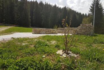 هتل Pensiunea Maria Bucovina