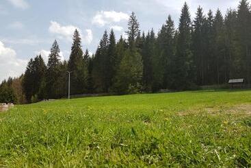 هتل Pensiunea Maria Bucovina