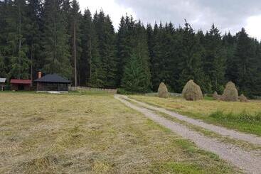 هتل Pensiunea Maria Bucovina