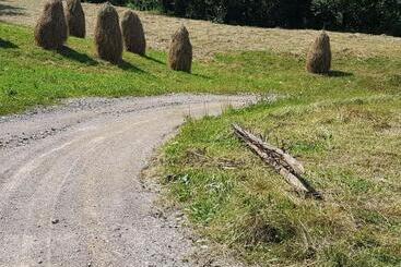 هتل Pensiunea Maria Bucovina