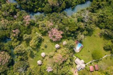 استراحتگاه Tanager Rainforest Lodge