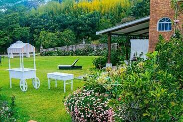 Verdant Hotel & Holistic Experience