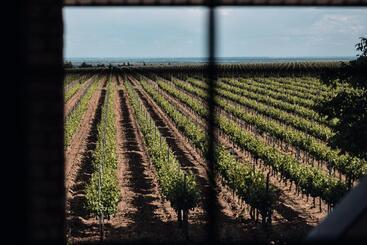 هتل Domeniile Panciu Winery & Resort