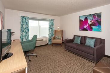 هتل Hilton Garden Inn Daytona Beach Airport