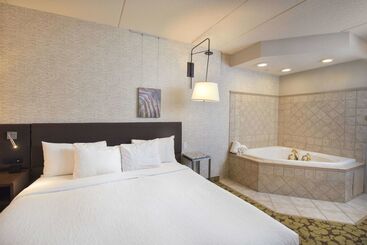 Отель Hilton Garden Inn Wisconsin Dells