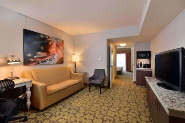 Отель Hilton Garden Inn Wisconsin Dells