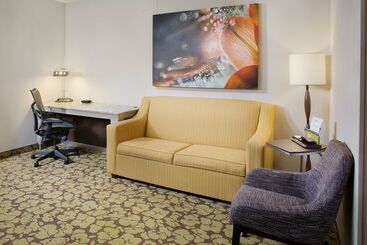 Отель Hilton Garden Inn Wisconsin Dells