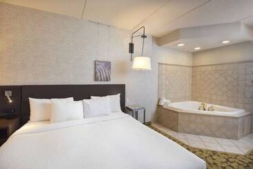 Отель Hilton Garden Inn Wisconsin Dells