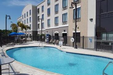 Holiday Inn Express Hotel & Suites Tampa Usf Busch Gardens, An Ihg