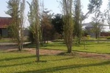 هتل Moyo Lodge