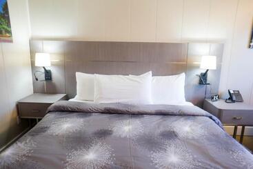 هتل Stay Express Inn Chattanooga