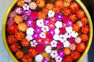 Welcomhotel By Itc Hotels, Katra