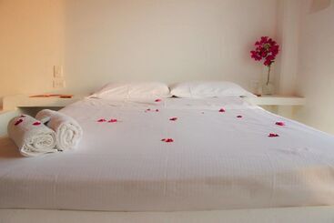 پانسیون Casa Sattva  Bed & Breakfast