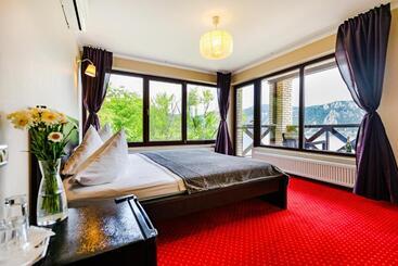 Pensiunea Decebal Resort   Cazanele Dunarii