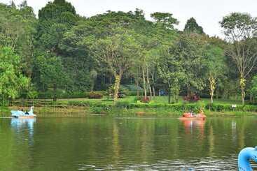 Goldfinch Hotel Mangalore
