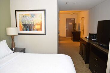 هتل Hilton Garden Inn Houstonpearland