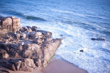 هتل Niraamaya Wellness Retreats, Surya Samudra, Kovalam