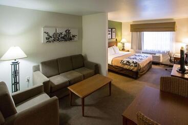 호텔 Sleep Inn & Suites Conference Center