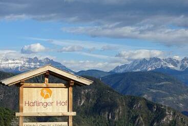 هتل Haflingerhof