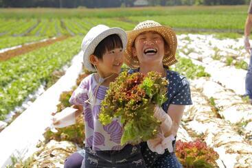 استراحتگاه Yatsugatake Grace