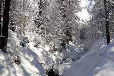 Astoria - Courmayeur