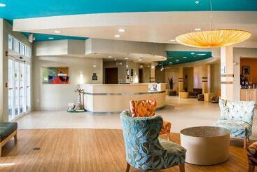 בית מלון כפרי Hampton Inn By Hilton Tampa Fairgrounds Casino