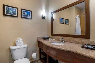 هتل Comfort Suites Mobile West Tillmans Corner