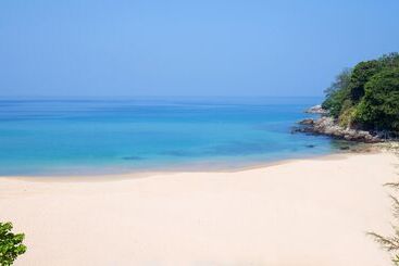 هتل Centara Grand Beach Resort Phuket   Sha Plus