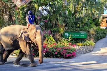 هتل Kamala Beach Estate Resort   Sha Extra Plus