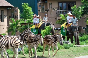 هتل Mara River Safari Lodge Bali