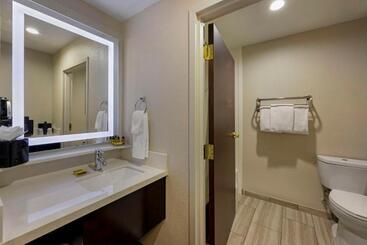 Best Western Plus Nashville Airport Hotel   Bna