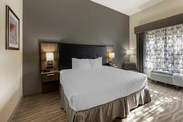Best Western Plus Nashville Airport Hotel   Bna
