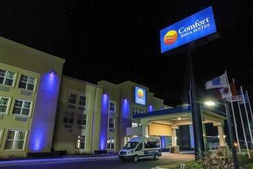 هتل Comfort Inn & Suites Allen Park  Dearborn