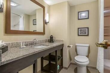 هتل Comfort Inn & Suites Allen Park  Dearborn
